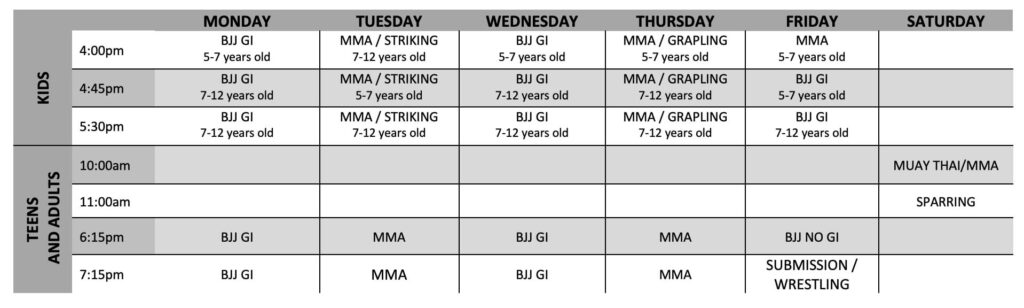 Jiu Jitsu Classes Sarasota Schedule